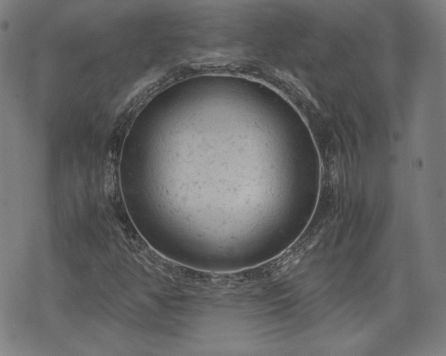 X0000072551350200607211349