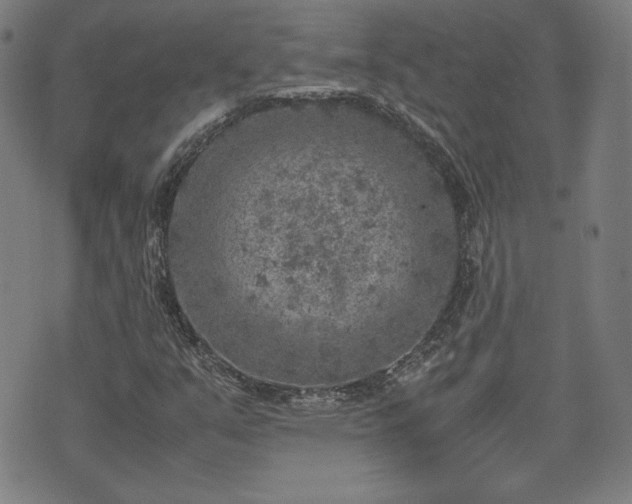 X0000072551351200607211349