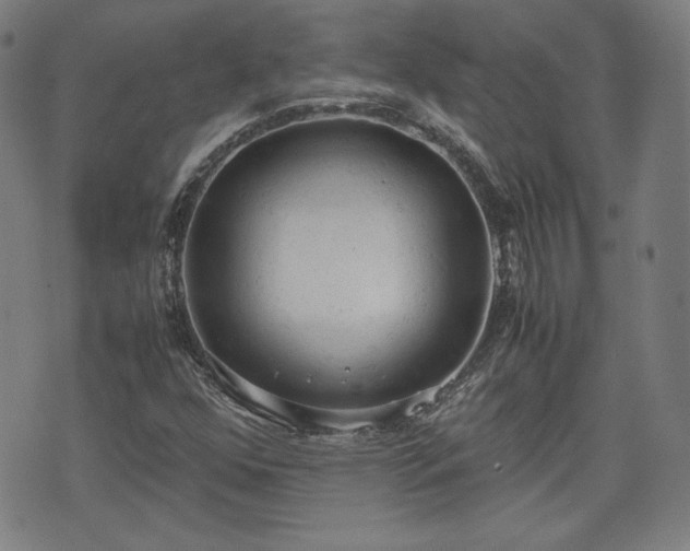 X0000072551352200607211349