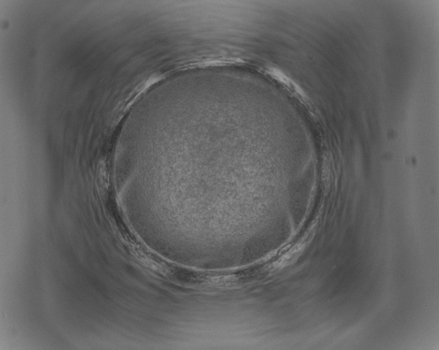 X0000072551353200607211349