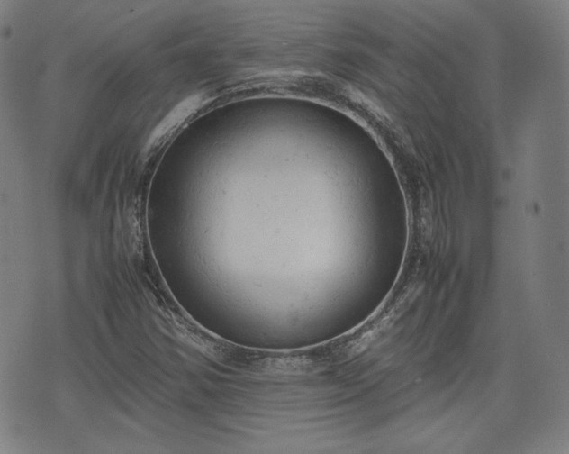 X0000072551354200607211349