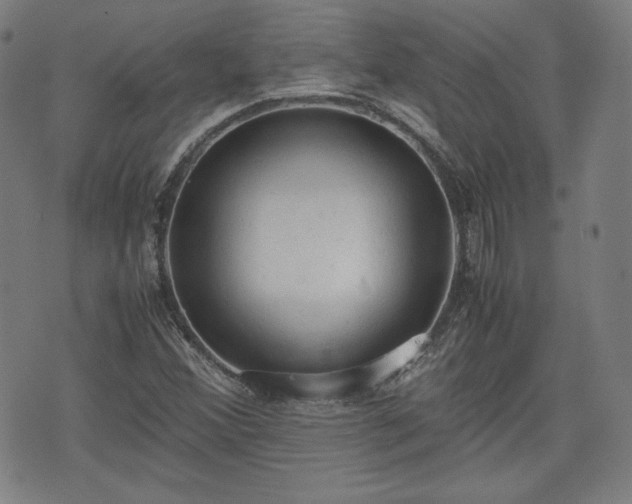 X0000072551356200607211349