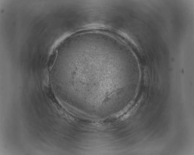 X0000072551358200607211349