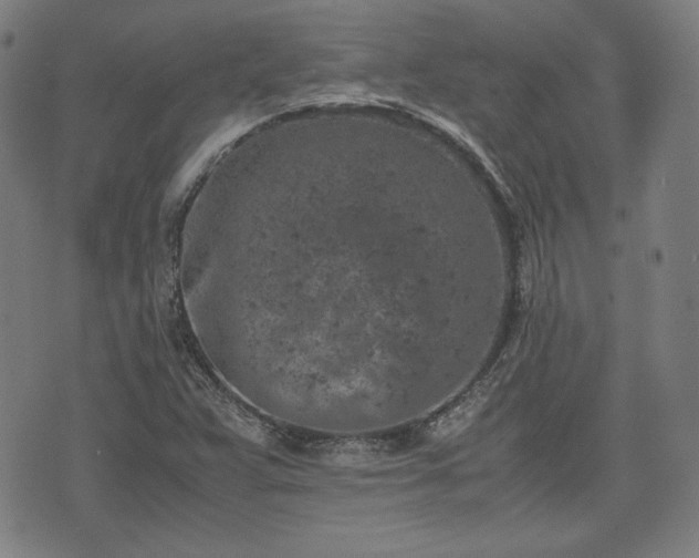 X0000072551359200607211349