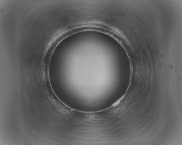 X0000072551360200607211349