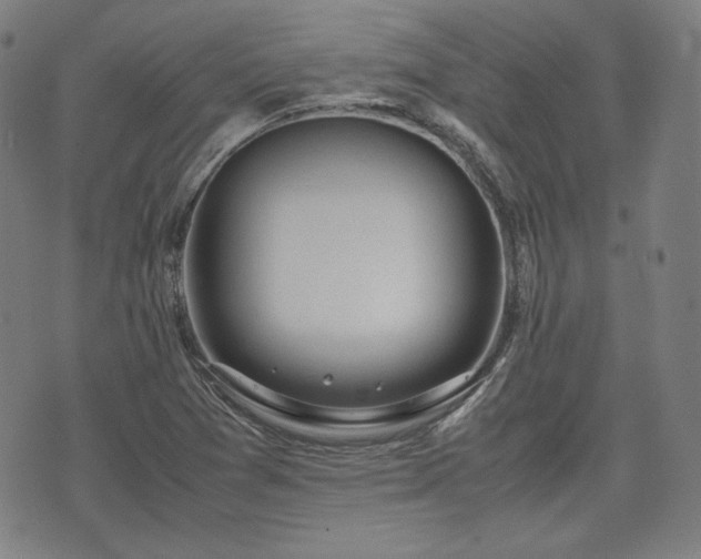 X0000072551361200607211349