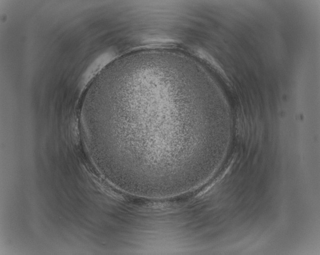 X0000072551362200607211349