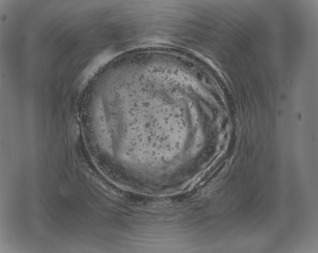 X0000072551363200607211349