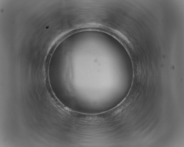 X0000072551364200607211348