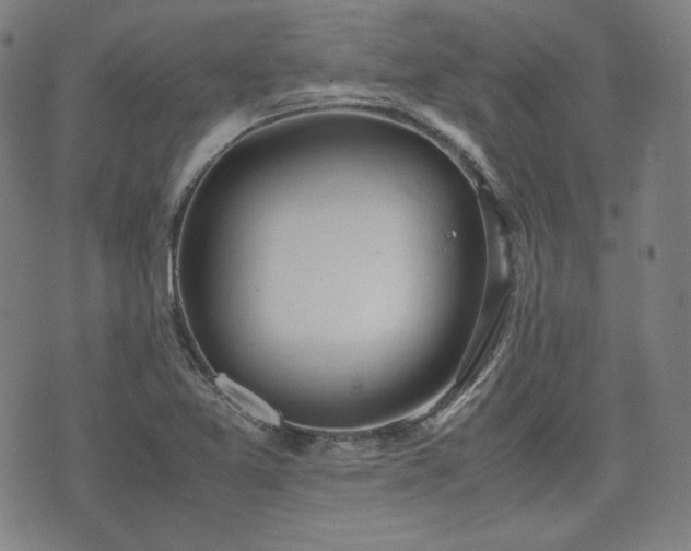 X0000072551365200607211348