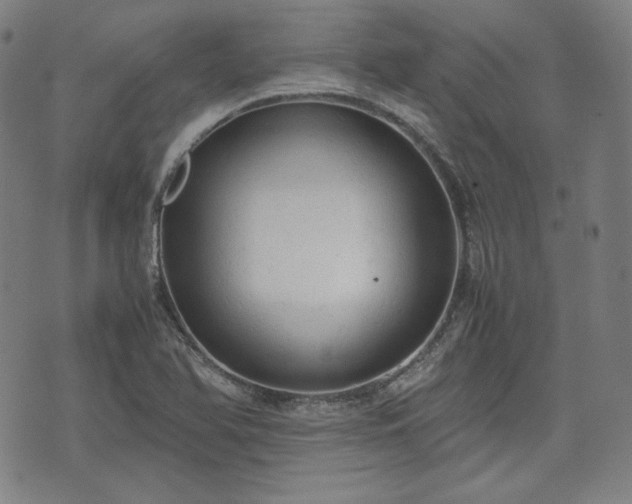 X0000072551366200607211348