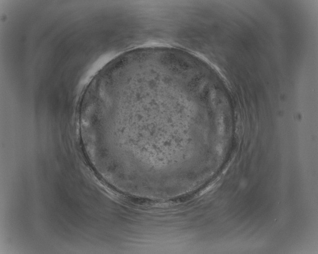 X0000072551367200607211348