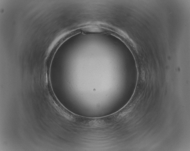 X0000072551368200607211348