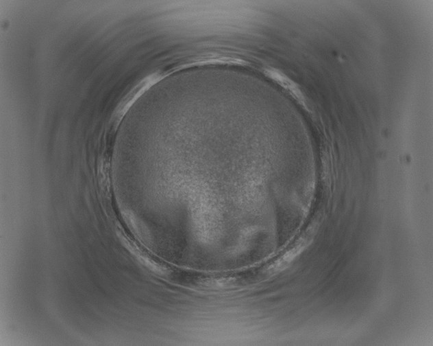 X0000072551369200607211348