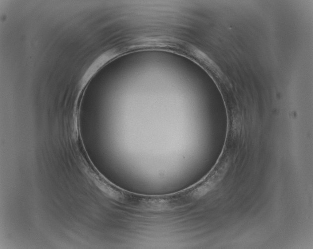 X0000072551370200607211348