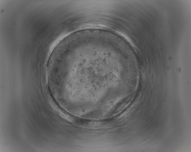 X0000072551371200607211348