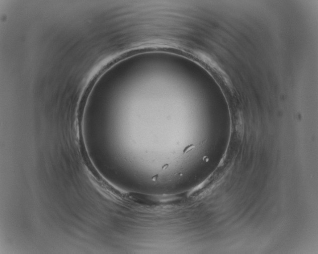 X0000072551372200607211348