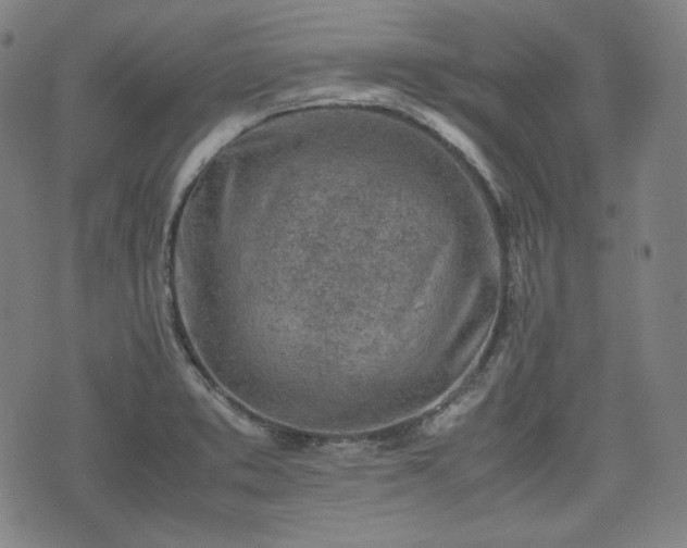 X0000072551373200607211348