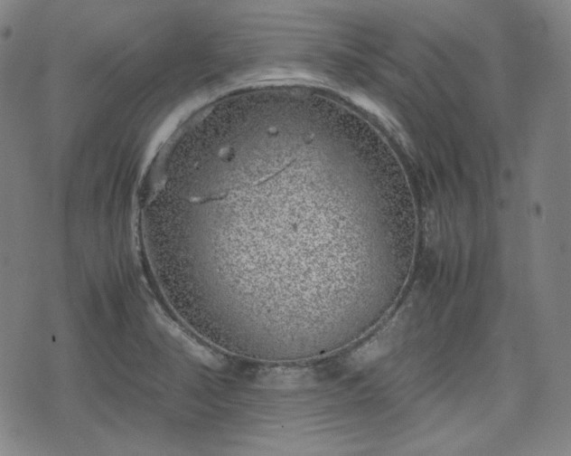 X0000072551374200607211348