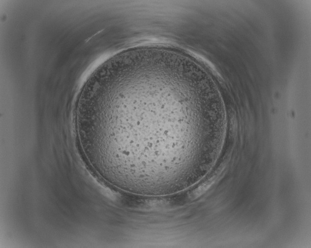 X0000072551375200607211348