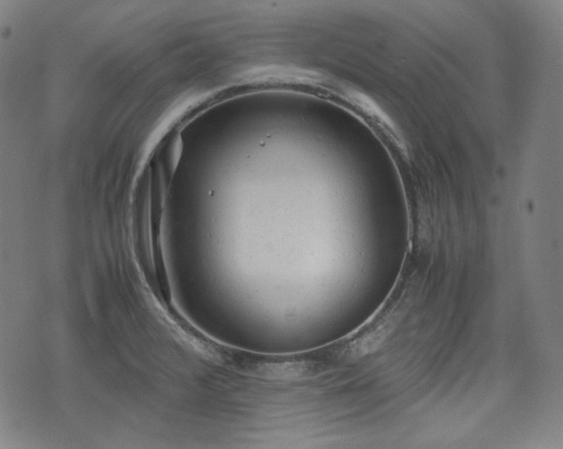 X0000072551376200607211348