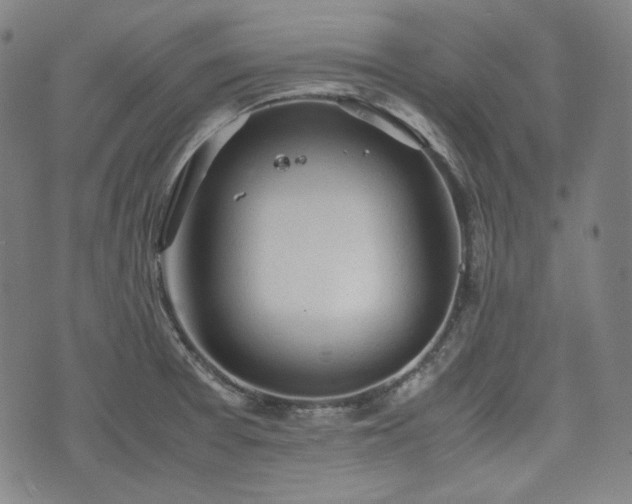 X0000072551377200607211348