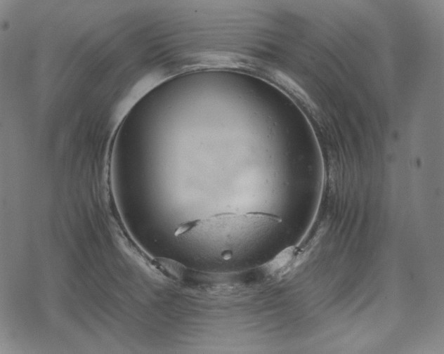 X0000072551378200607211348