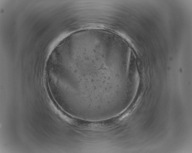 X0000072551379200607211348