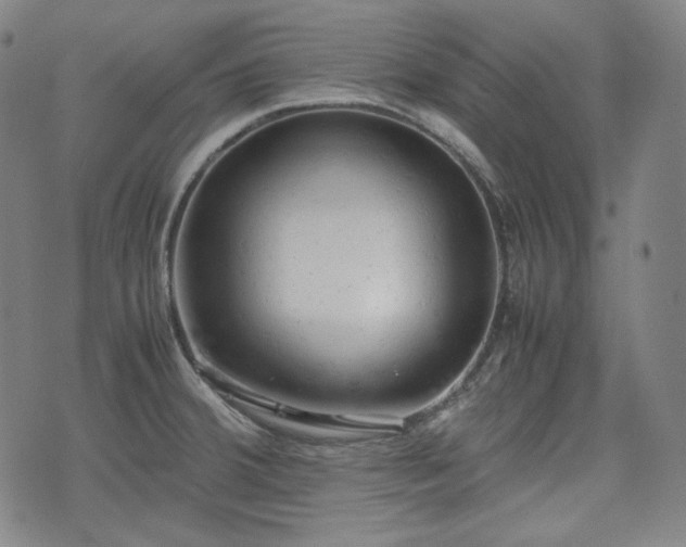 X0000072551380200607211348