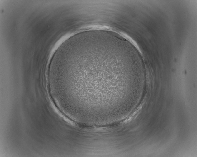 X0000072551381200607211348