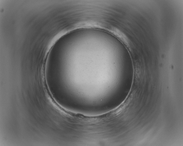 X0000072551382200607211348