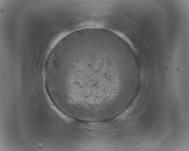 X0000072551383200607211348