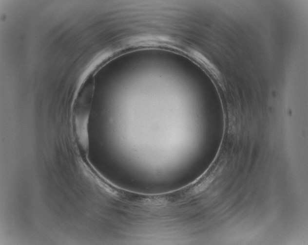 X0000072551384200607211348