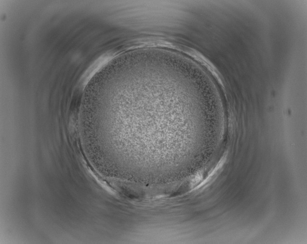 X0000072551385200607211348