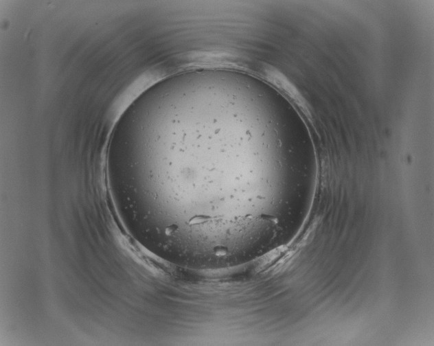 X0000072551386200607211348