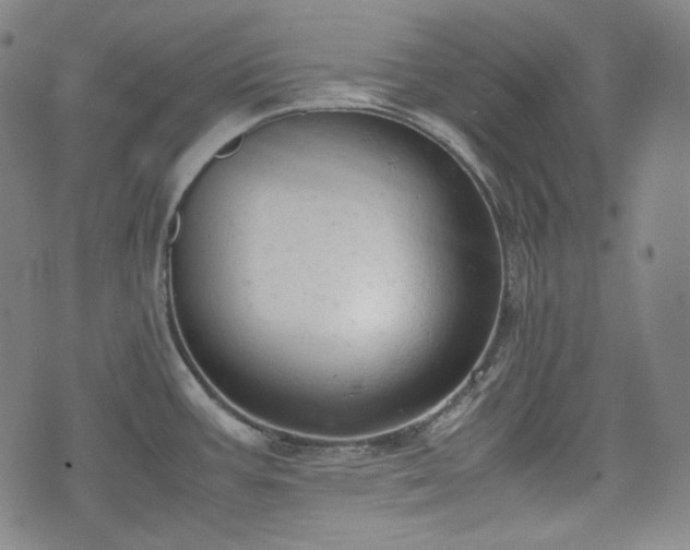 X0000072551387200607211348