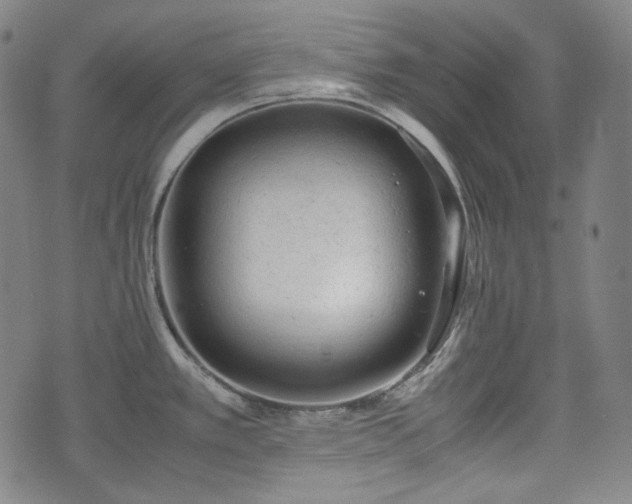 X0000072551389200607211348