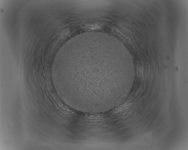 X0000072551393200607211347