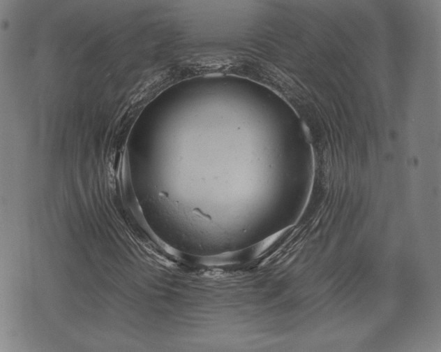 X0000072551394200607211347