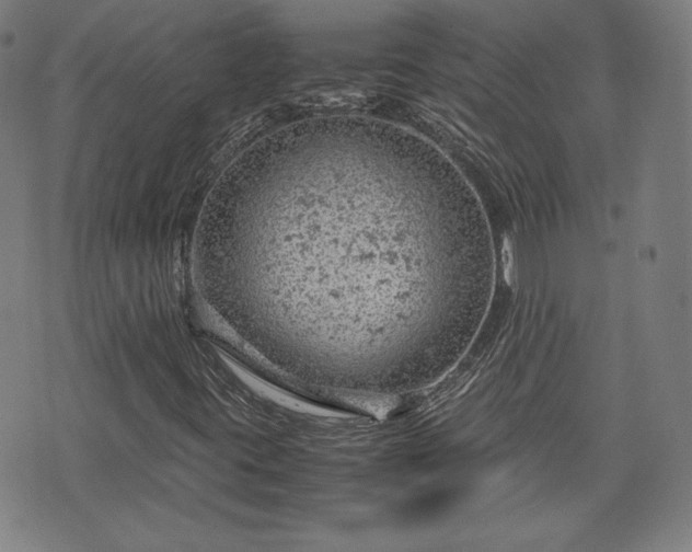 X0000072551395200607211347