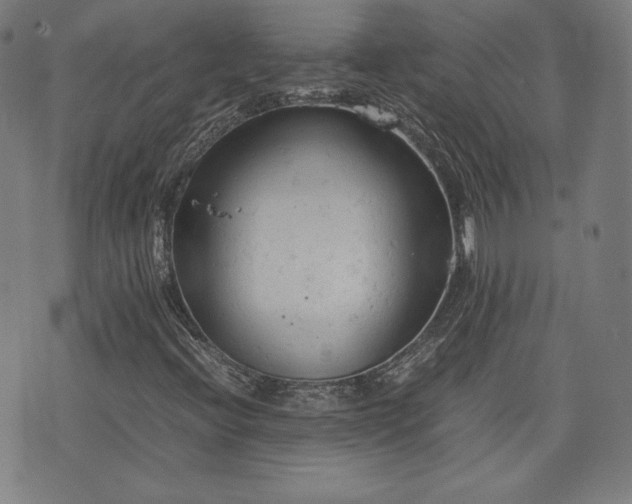 X0000072551396200607211347