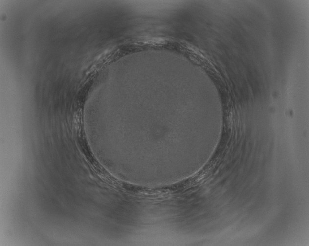 X0000072551397200607211347