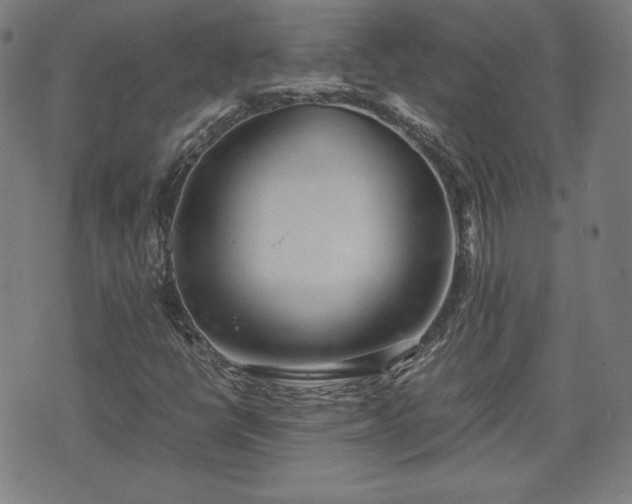 X0000072551398200607211347