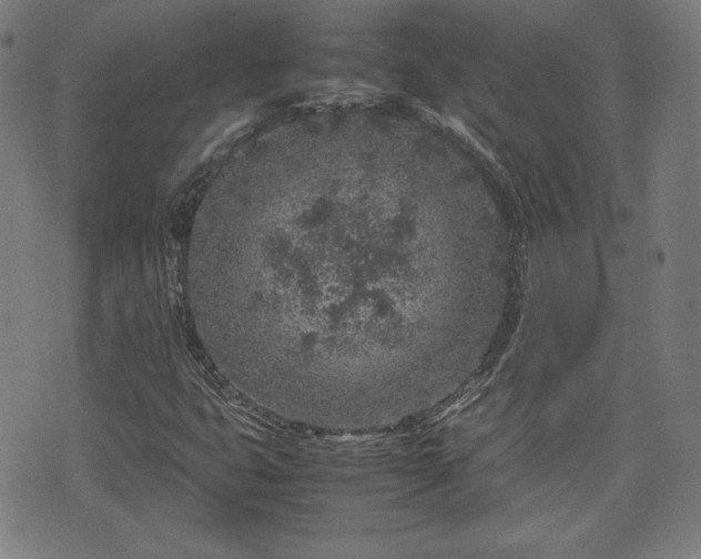 X0000072551399200607211347