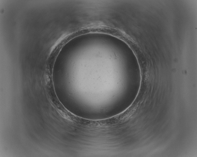 X0000072551400200607211347