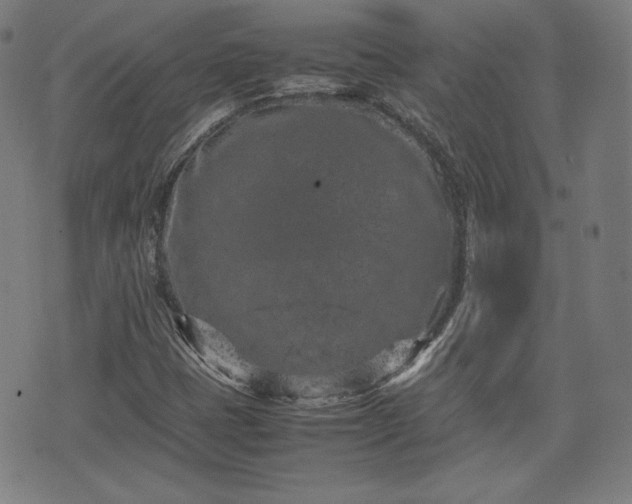 X0000072551401200607211347