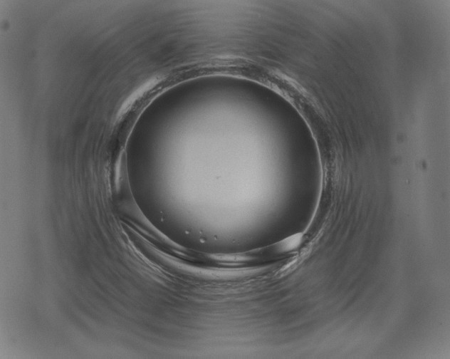 X0000072551402200607211347