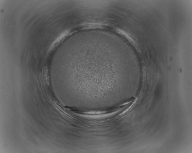 X0000072551403200607211347