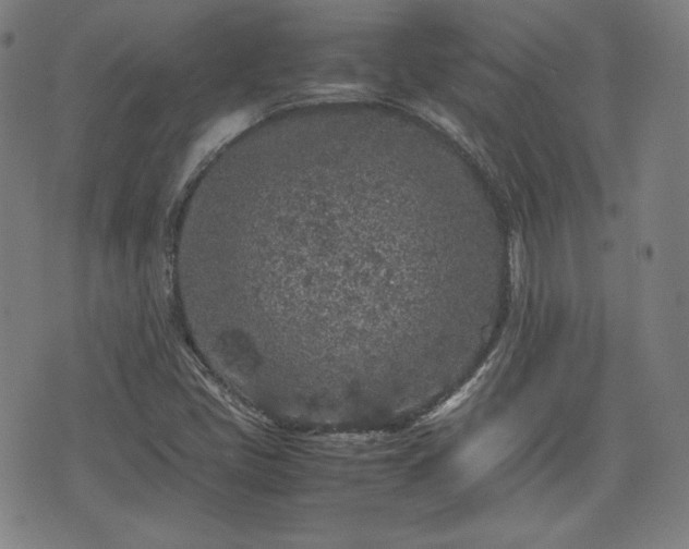 X0000072551405200607211347