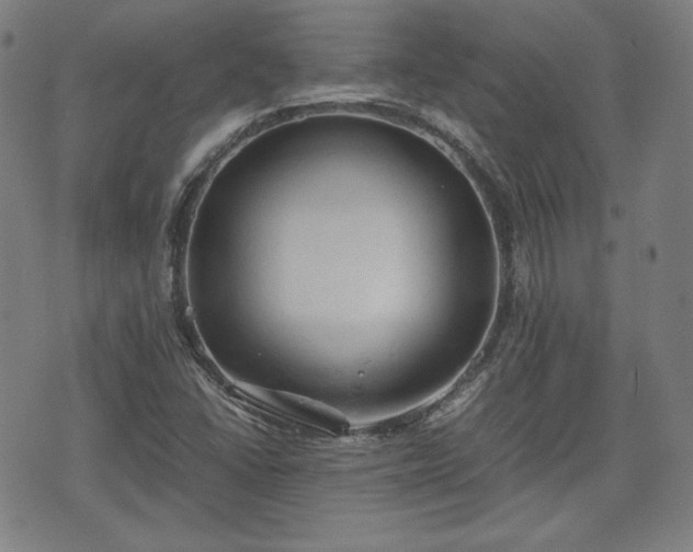 X0000072551406200607211347